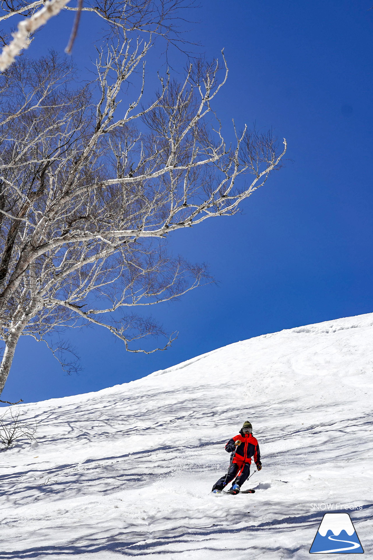 ニセコグラン・ヒラフ DYNASTAR SKI TEST RIDE DAYS Photo Session!!最高の天気に恵まれたニセコに、最高の仲間たちが集まりました☆